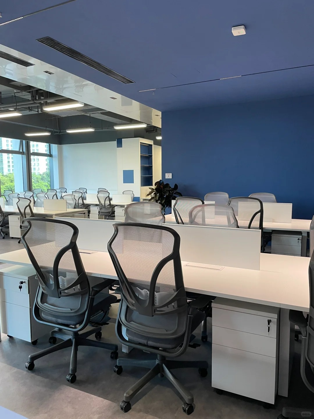 Sillas de escritorio de oficina max