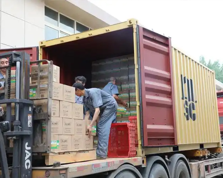 Proveedor de sillas de oficina en China