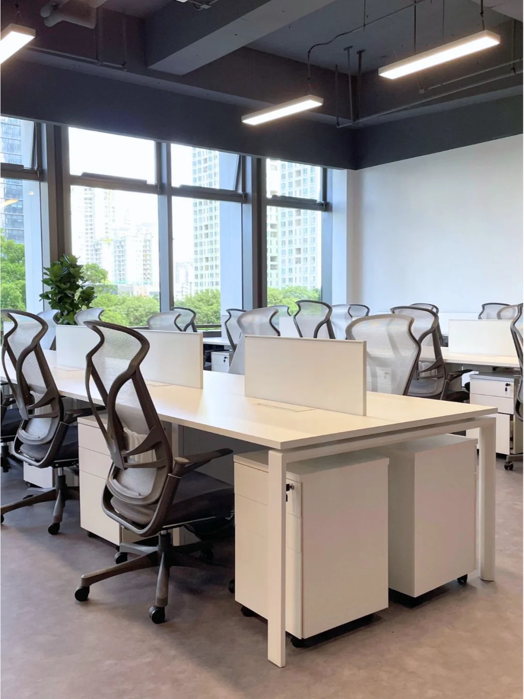 Sillas de escritorio de oficina max